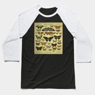 Foreign Entomologist Science Poster Baseball T-Shirt